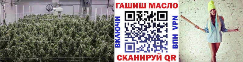 ТГК вейп  кракен   Усть-Лабинск  цены  